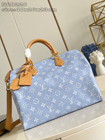 Louis Vuitton Speedy P9 Blue Ostrich 40x26x23cm