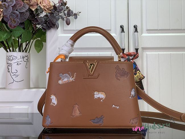 Louis Vuitton Capucines BB Brown Bag 27x17.3x9cm - 1
