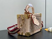 Louis Vuitton Petite Valise Meowgram 22.5x11x17.5cm - 4