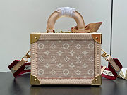 Louis Vuitton Petite Valise Meowgram 22.5x11x17.5cm - 2