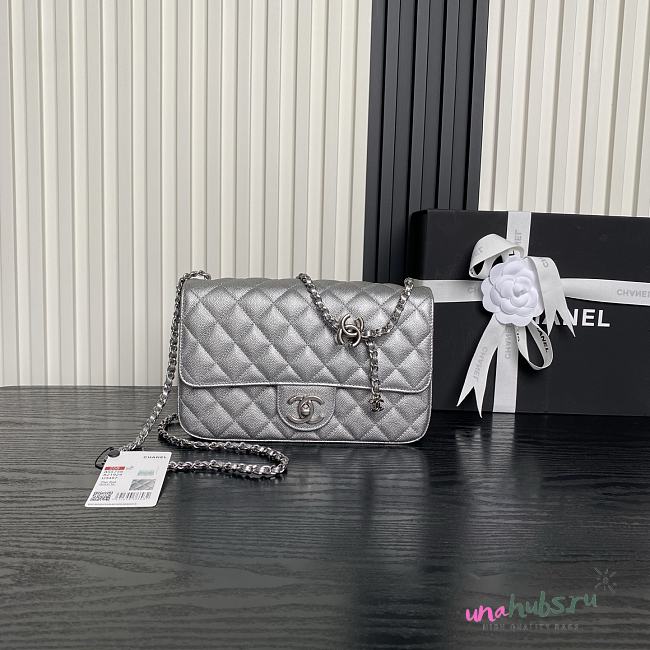 Chanel 25B Flap Bag Silver Caviar 23.5x7x14.5cm - 1