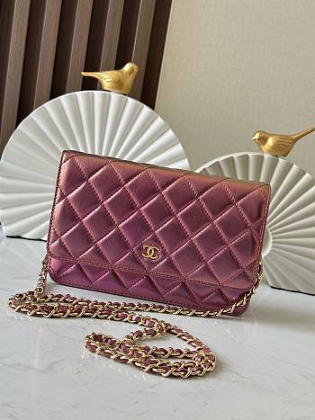 Chanel Woc Pink 19cm