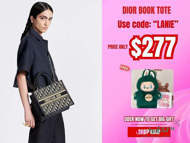 Dior Small Dior Book Tote Oblique Embroidery and Calfskin - 26.5 x 22 x 14 cm - 1