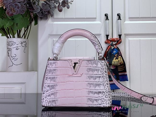 Louis Vuitton Mini Capucines Pink Crocodile 21x14x8cm - 1
