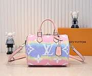 Louis Vuitton Speedy 25 Multicolor 25cm - 1