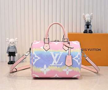 Louis Vuitton Speedy 25 Multicolor 25cm