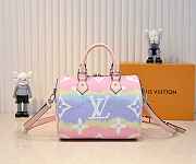 Louis Vuitton Speedy 25 Multicolor 25cm - 3