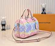 Louis Vuitton Speedy 25 Multicolor 25cm - 2