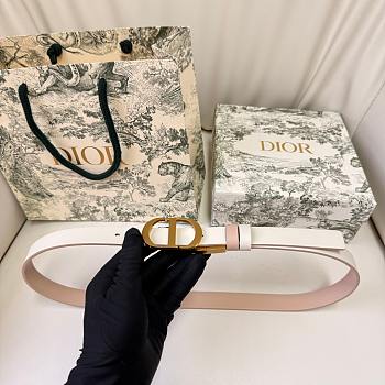 Dior White Pink Belt 2cm