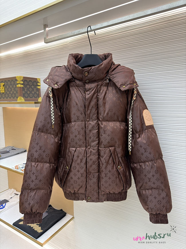 Louis Vuitton Monogram Down Blouson Jacket - 1