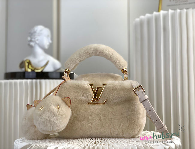 Louis Vuitton Shearling Capusnow Top-Handle Bag 20x13x11cm - 1