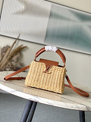 Louis Vuitton Mini Capucines Brown Raffia 21x14x8cm - 1