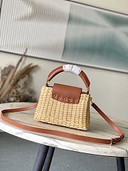 Louis Vuitton Mini Capucines Brown Raffia 21x14x8cm - 3