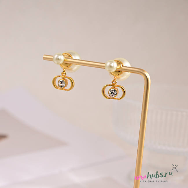Dior Earrings 04 - 1
