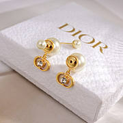 Dior Earrings 04 - 3