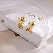 Dior Earrings 04 - 2