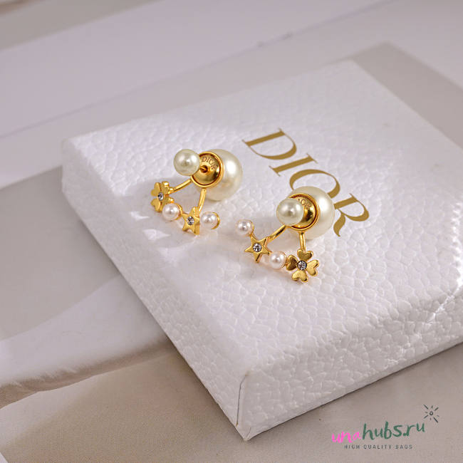 Dior Earrings 05 - 1