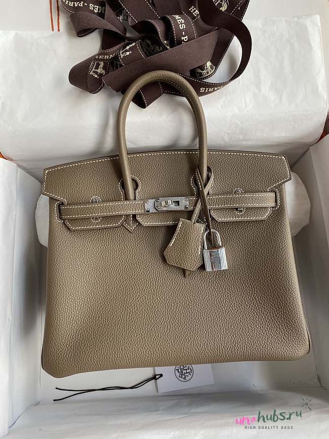 Hermes Birkin 25 Etoupe Silver Togo 25cm - 1