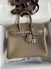 Hermes Birkin 25 Etoupe Silver Togo 25cm - 1