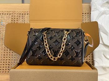 Louis Vuitton Speedy 20 Bag Monogram 20.5x15x13cm