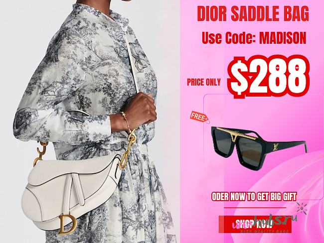 Dior Saddle Bag - 1