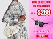 Dior Saddle Bag - 1
