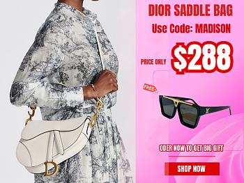 Dior Saddle Bag