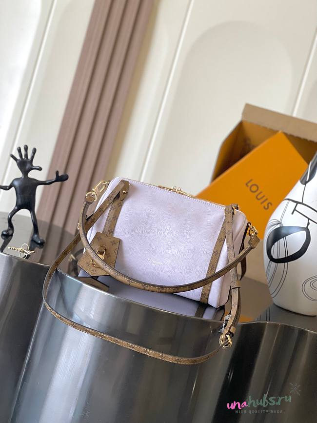 Louis Vuitton Express PM Purple 26x17x13.5cm - 1