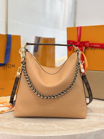 Louis Vuitton Multipass H27 Brown 30x26x10cm