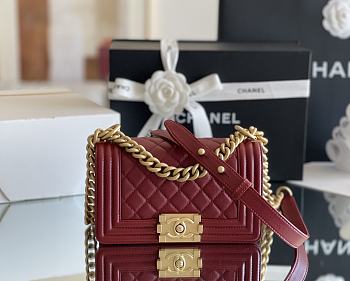 Chanel Leboy Bag Red Caviar Gold 20cm