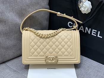 Chanel Medium Leboy Bag Beige Caviar Gold 25cm
