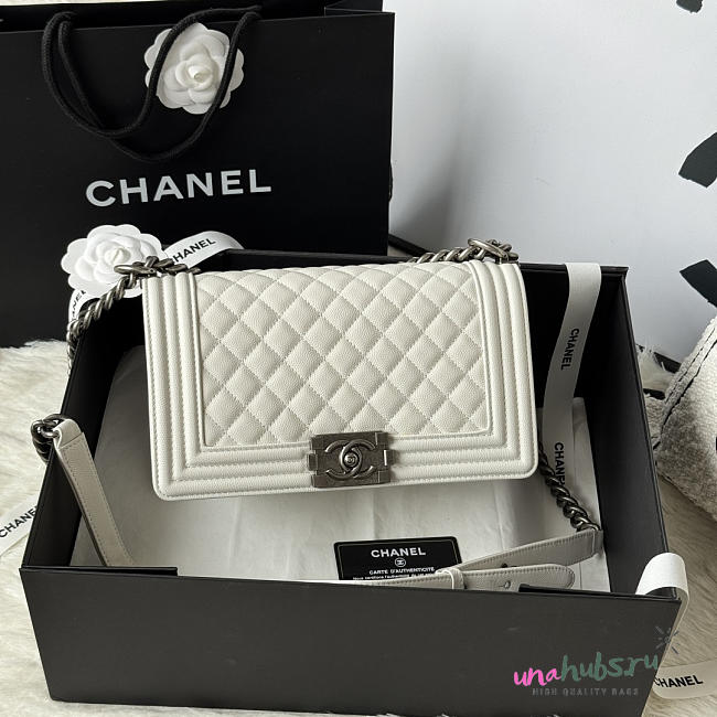 Chanel Medium Leboy Bag White Caviar Silver 25cm - 1