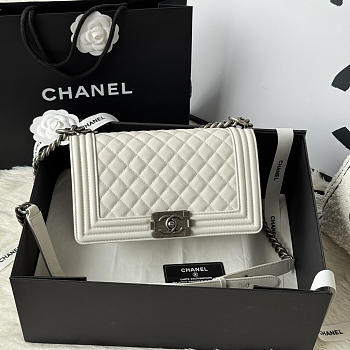 Chanel Medium Leboy Bag White Caviar Silver 25cm