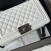 Chanel Medium Leboy Bag White Caviar Silver 25cm - 2