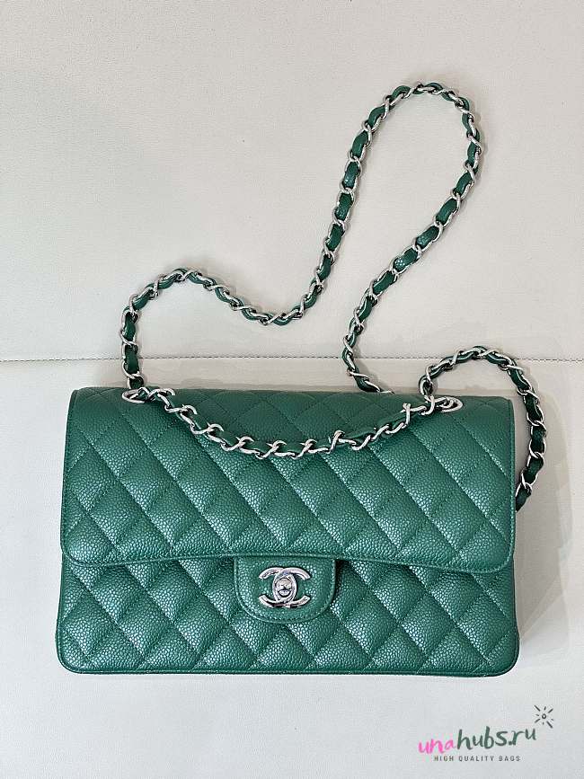 Chanel Flap Bag Green Caviar Silver 25cm - 1
