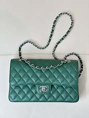 Chanel Flap Bag Green Caviar Silver 25cm - 1