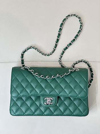 Chanel Flap Bag Green Caviar Silver 25cm