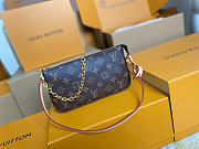 Louis Vuitton Pochette Accessoires 23.5x13.5x4cm - 1