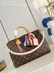 Louis Vuitton Speedy Soft 30 Monogram Canvas 30x21x17cm - 1