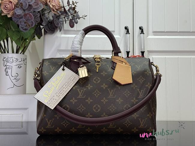 Louis Vuitton Soft 30 Celebration 30x21x17cm - 1