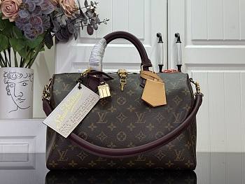 Louis Vuitton Soft 30 Celebration 30x21x17cm