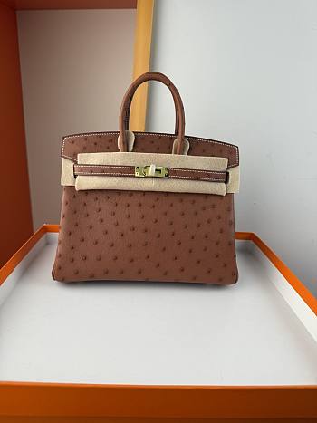 Hermes Birkin Bag Tan Ostrich Gold 25cm