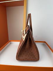 Hermes Birkin Bag Tan Ostrich Gold 25cm - 5