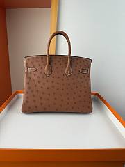 Hermes Birkin Bag Tan Ostrich Gold 25cm - 4