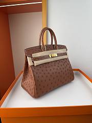 Hermes Birkin Bag Tan Ostrich Gold 25cm - 3