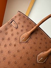 Hermes Birkin Bag Tan Ostrich Gold 25cm - 2