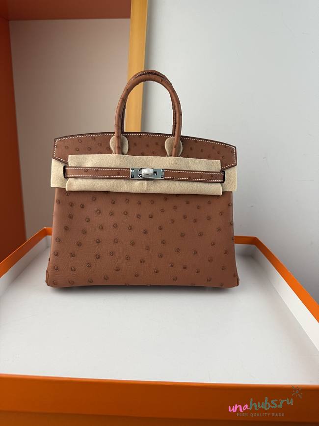 Hermes Birkin Bag Tan Ostrich Silver 25cm - 1