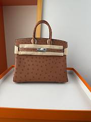 Hermes Birkin Bag Tan Ostrich Silver 25cm - 1