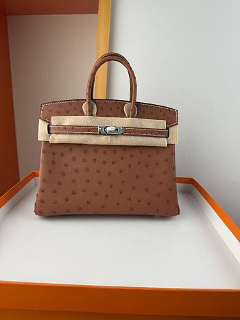 Hermes Birkin Bag Tan Ostrich Silver 25cm