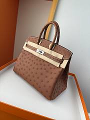 Hermes Birkin Bag Tan Ostrich Silver 25cm - 5
